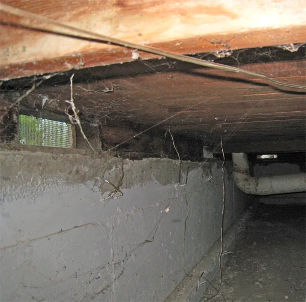 Crawlspace Water Removal in a Denver home