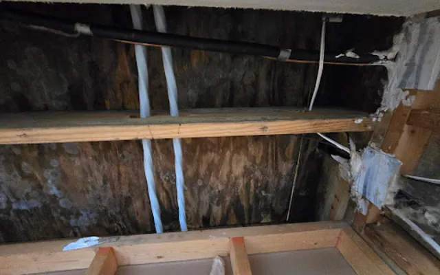 Roof Leak Water Damage in Denver, CO