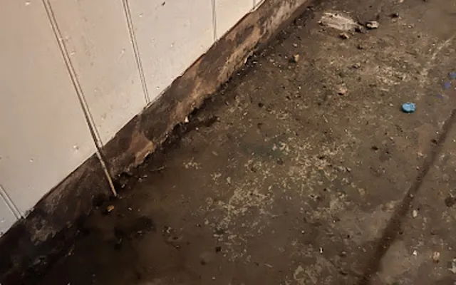 Sewage and Black Water Cleanup in Denver, CO